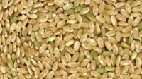 Do the Pros of Brown Rice Outweigh the Cons of Arsenic?