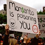 Just released: Monsanto secret documents expose scientific manipulation and collusion with corrupted EPA officials