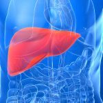 Liver cancer death is now the fastest growing cancer threat in the United States, new report