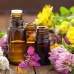 Best essential oils for a toothache or gum disease