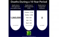 Study: Cannabis Prevents Premature Deaths – Cannabis Prohibition is a Major Cause of Premature Death in the U.S.