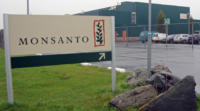 Monsanto postpones “NemaStrike” launch after new pesticide causes skin rashes among farmers