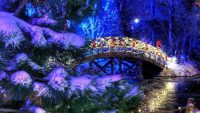 Deaf Day at the Creation Museum’s ChristmasTown