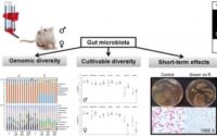 Study: Roundup Weed Control Causes Changes in Gut Microbiome