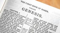 Is Genesis History? Bible Study Now Available