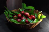 6 Health & Beauty Benefits Of The Kokum Plant