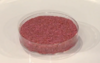 Laboratory Manufactured Meat and Eggs: The Future of Food?