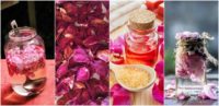 10 Beautiful Ways To Use Rose Petals 