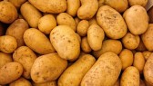 Potatoes GOOD for diabetics? Study finds prebiotic from potatoes actually reduces insulin resistance