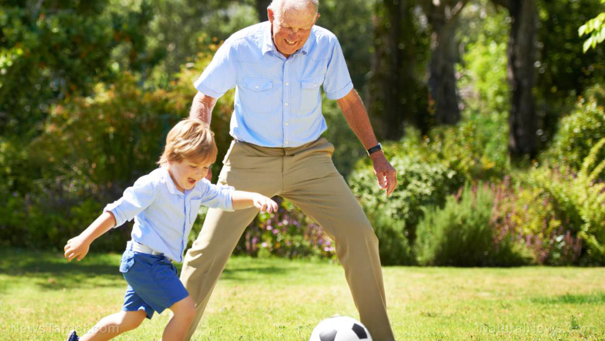 Exercise to avoid frailty in old age: Research finds leg muscles lose nerve connections UNLESS kept healthy and strong