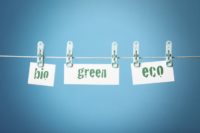The Problem Of “Greenwashing”? & How To Avoid It