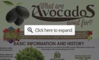 How (and Why) to Grow Avocados