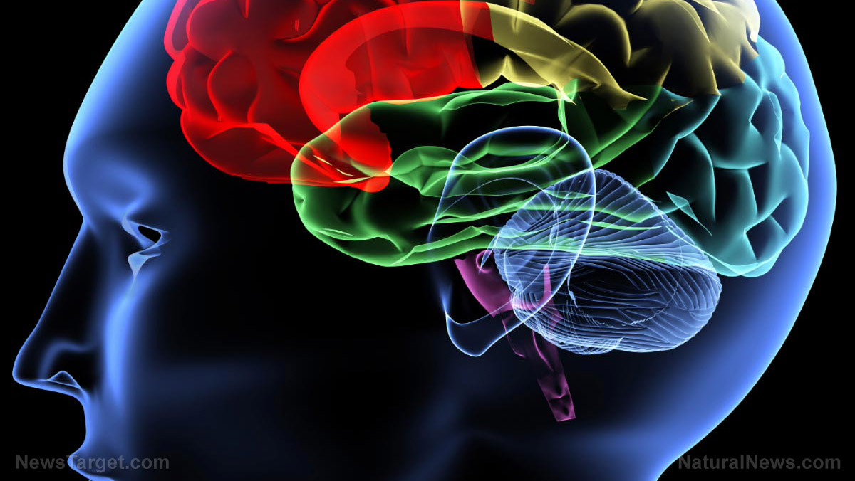 Neuroscientists look at brain stimulation as an alternative treatment for depression