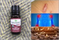 10 Reasons Vetiver Essential Oil Belongs In Your Oil Collection