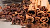 Analyzing the anti-carcinogenic potential of the Cinnamomum cassia (Chinese cinnamon)