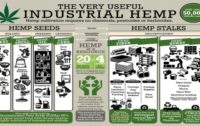 Cannabis Legal Updates: Legalization of Industrial Hemp Passes Senate