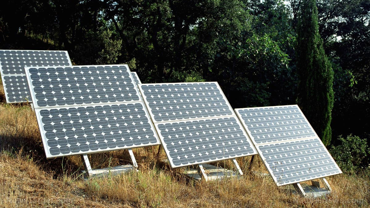 A guide to supplying your homestead with solar power