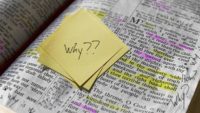 Did the Bible Once Permit Homosexuality?