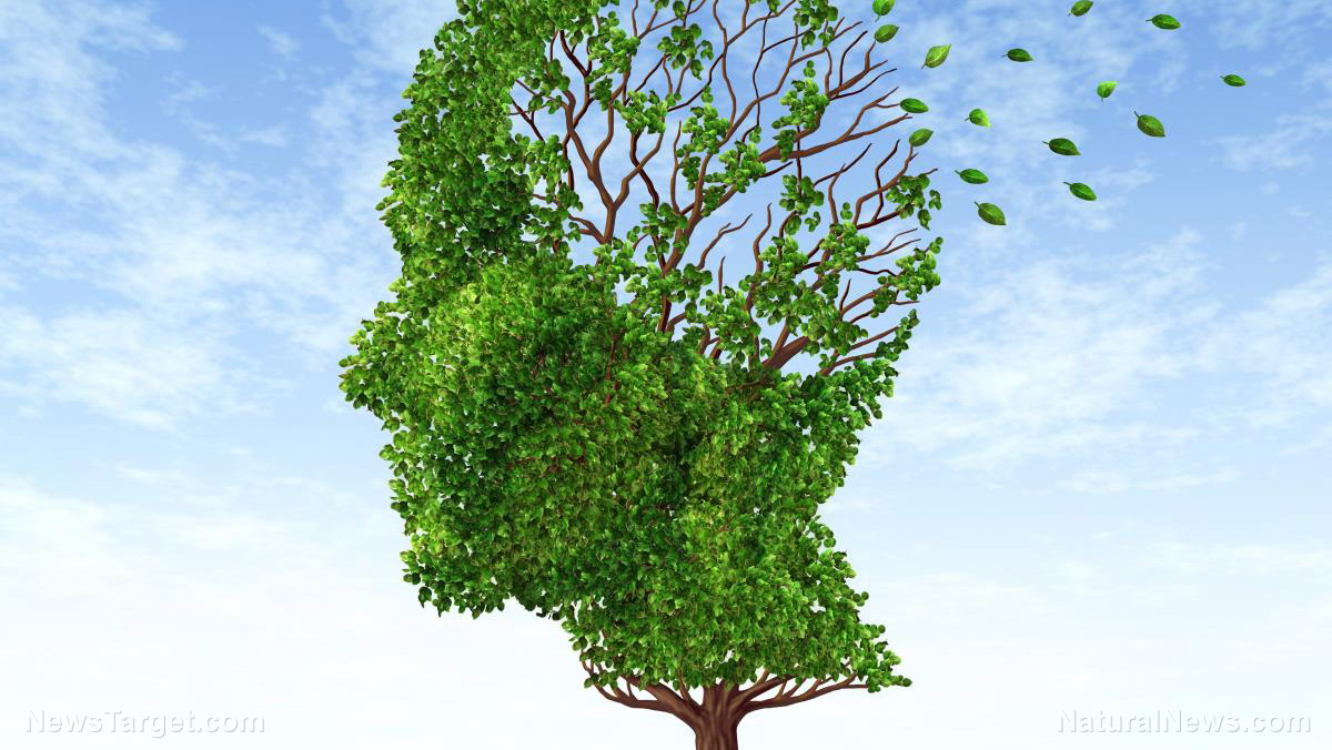 Elya leaves can prevent neurocognitive decline associated with Alzheimer’s