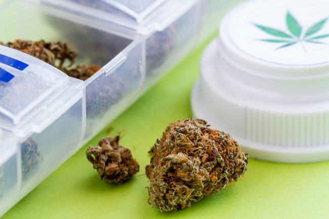 Cannabis ‘Concussion Pill’ has “Enormous Potential,” Study Shows