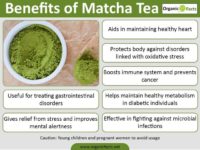 Matcha Green Tea Eliminates Cancer Cells by Stopping them from Refueling