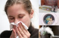 12 Ways To Naturally Flu-Proof Every Spot In Your Home