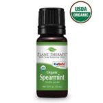 9 Reasons You Need A Bottle Of Spearmint Essential Oil