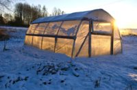 11 Ways To Have An Abundant Winter Garden No Matter Where You Live