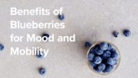 Benefits of Blueberries for Mood & Mobility