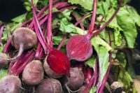 8 Reasons To Eat More Beets & 12 Yummy Recipes
