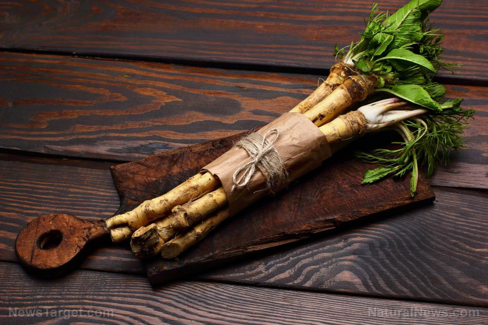 Horseradish treats a variety of health conditions, from asthma to toothache to gout pain
