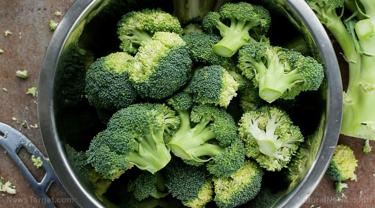 A beginner’s guide to growing your own broccoli