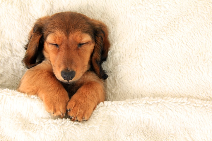 24 Health Harming Sleep Myths Too Many People Believe