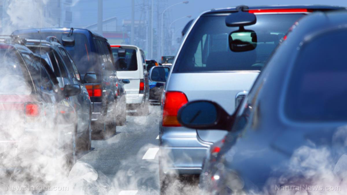 New evidence PROVES that air pollution affects the placenta of developing babies