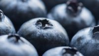 Benefits of Blueberries for Heart Disease