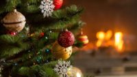 Do Christmas Trees Have Pagan Roots?