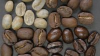 Which Coffee Is Healthier: Light vs. Dark Roast?