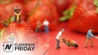 Flashback Friday: Plant-Based Diets for Improved Mood and Productivity