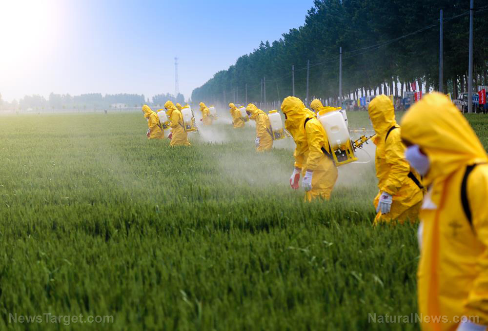 Continued exposure to pesticides increases your risk of these potentially deadly diseases
