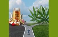 Study: Suicide Rates Lower in States with Legal Marijuana Sales – Medical Cannabis More Effective than Psych Drugs?