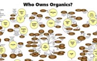 America’s Fraudulent Organics Industry: 40% of All Organic Food Tested Positive for Prohibited Pesticides