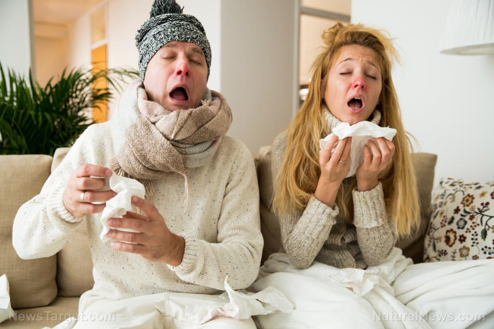 The best natural ways to prevent the flu