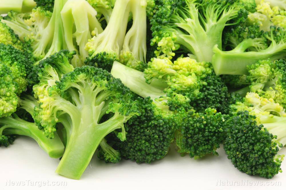 Is this cruciferous vegetable the key to brain regeneration?