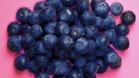 Blueberries for a Diabetic Diet & DNA Repair