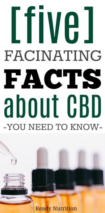5 Fascinating Facts About CBD You Need to Know