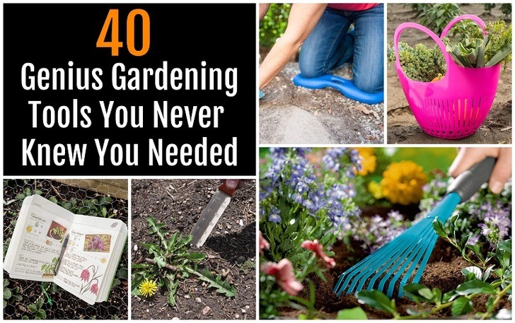 40 Genius Gardening Tools You Never Knew You Needed