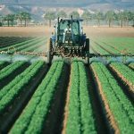 Roundup adjuvants are 9,661 times more toxic to human cells than the active ingredient glyphosate