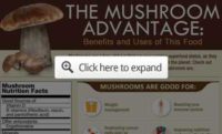 Can Mushrooms Help Prevent Cognitive Decline?