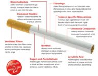 Study: Smokers Often Unaware of Chemical-Cocktail in Cigarettes