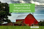 Self-Reliance Strategies: Resources for Setting Up a Prepper’s Homestead Quickly and Inexpensively